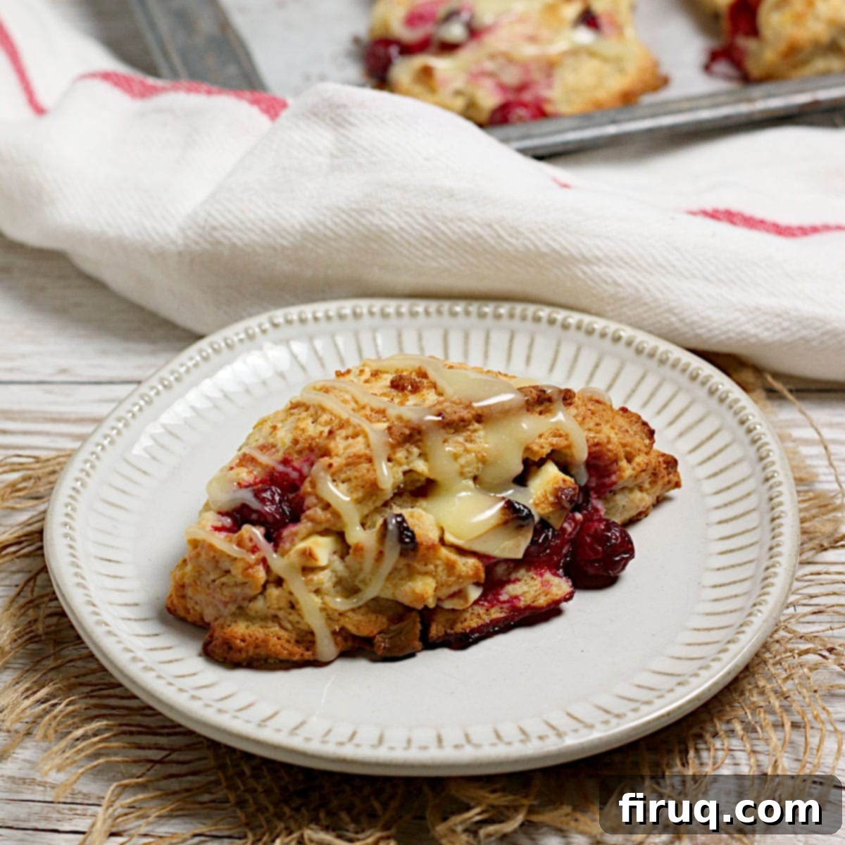 Decadent Cranberry Orange White Chocolate Scones 2 A Cranberry Orange Scone with White Chocolate on a small white plate.