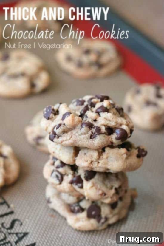 Perfectly Baked Chewy Chocolate Chip Cookies Perfectly Baked Chewy Chocolate Chip Cookies