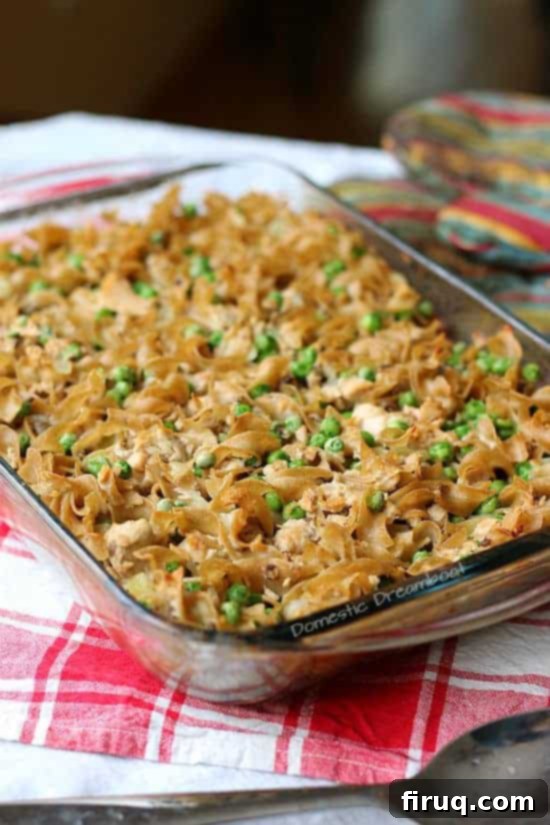 Classic Salmon Noodle Casserole Salmon Noodle Casserole