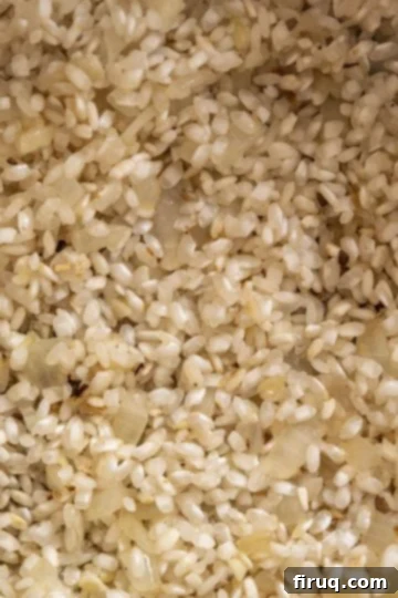 Decadent Mushroom Truffle Risotto 8 The rice, after being toasted, showing its slightly transparent edges and white core.