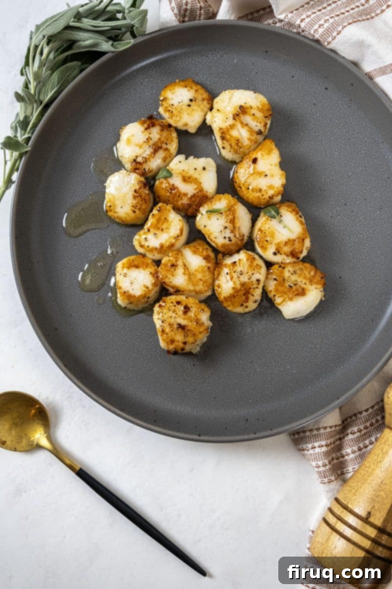 Sizzling Garlic Sage Scallops 2 garlic sage seared scallops on a plate, golden brown and garnished with fresh herbs