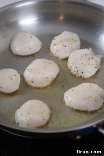 Sizzling Garlic Sage Scallops 5 scallops carefully placed in a hot pan for searing