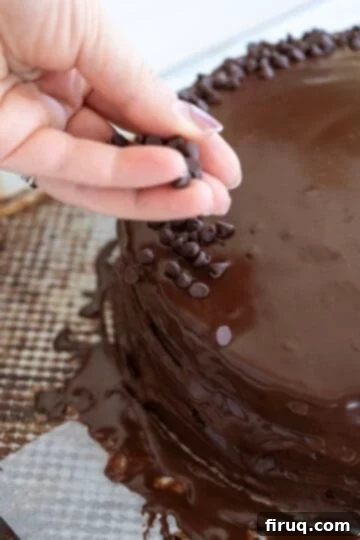 Spectrum Cookie Delight 11 sprinkling with mini chocolate chips
