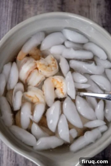 Zesty Homemade Shrimp Cocktail Perfection 5 Freshly boiled shrimp are dropped into a bowl of ice water to stop the cooking process