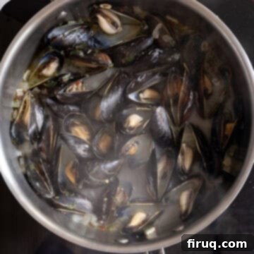 Mussels Infused with White Wine 8 Steamed mussels opening in a pan.