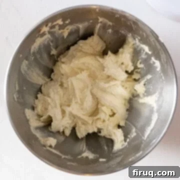 Citrus Cranberry Shortbread Morsels 5 Combining all cookie ingredients in a standing mixer.