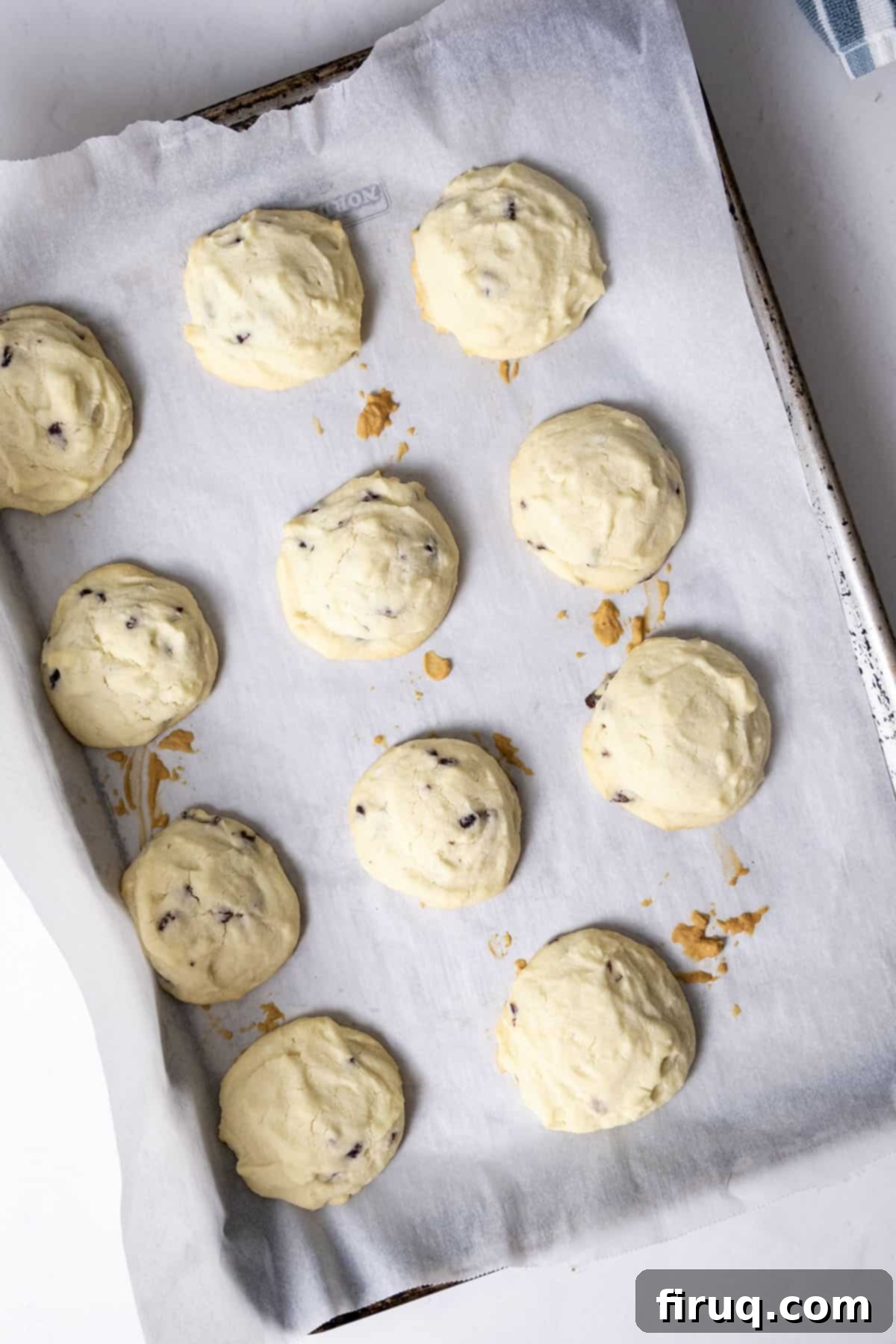 Citrus Cranberry Shortbread Morsels 8 Cookies baked on the baking tray.