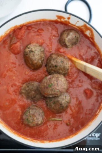 Nonna's Crispy Italian Meatballs 10 Meatballs added to tomato sauce.