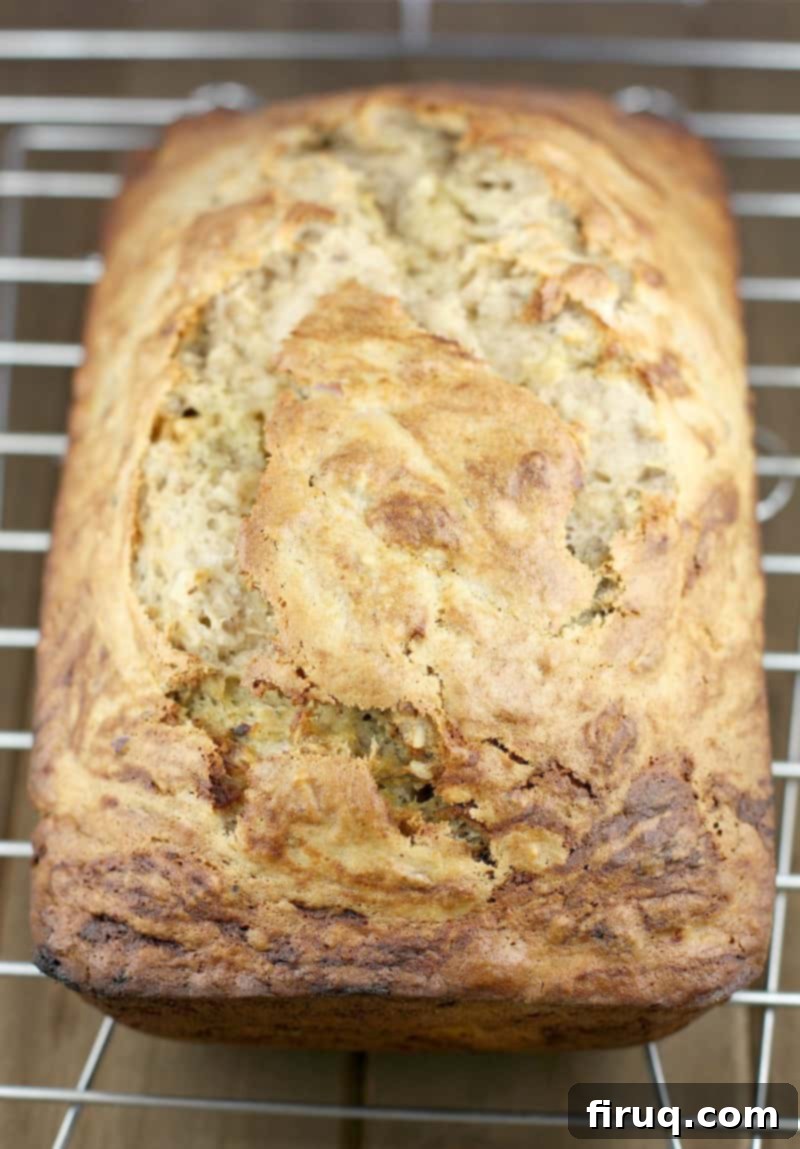 Heirloom Banana Bread 8 A golden-brown whole loaf of dairy-free banana bread cooling on a metal rack, hinting at its inviting aroma.