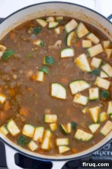 Hearty White Bean Lentil Soup 9 beans and zucchini added.