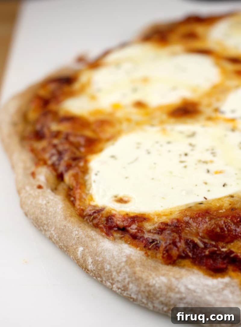 Healthy Whole Wheat Pizza Dough 10 a cooked cheese pizza showing cooked crust