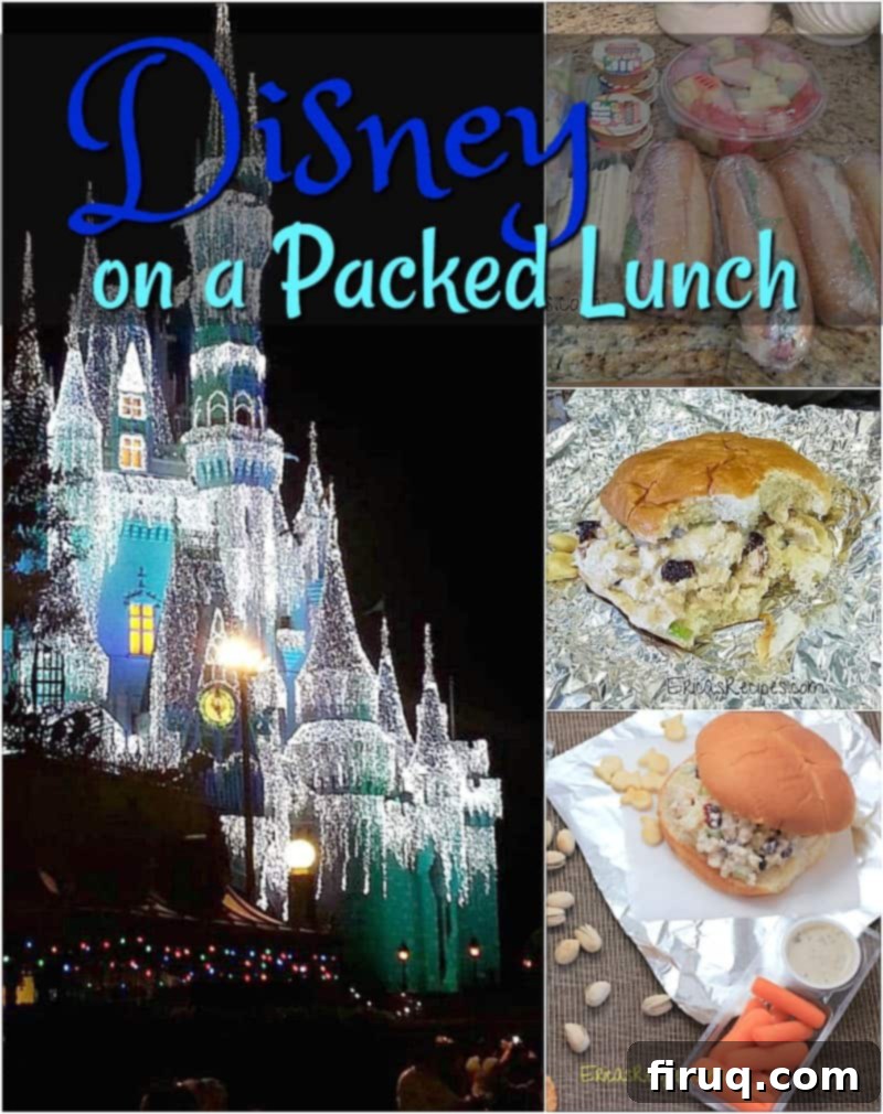 Disney Lunchbox Magic 3 Disney on a Packed Lunch #food #travel #disney #kids #florida #lunchideas