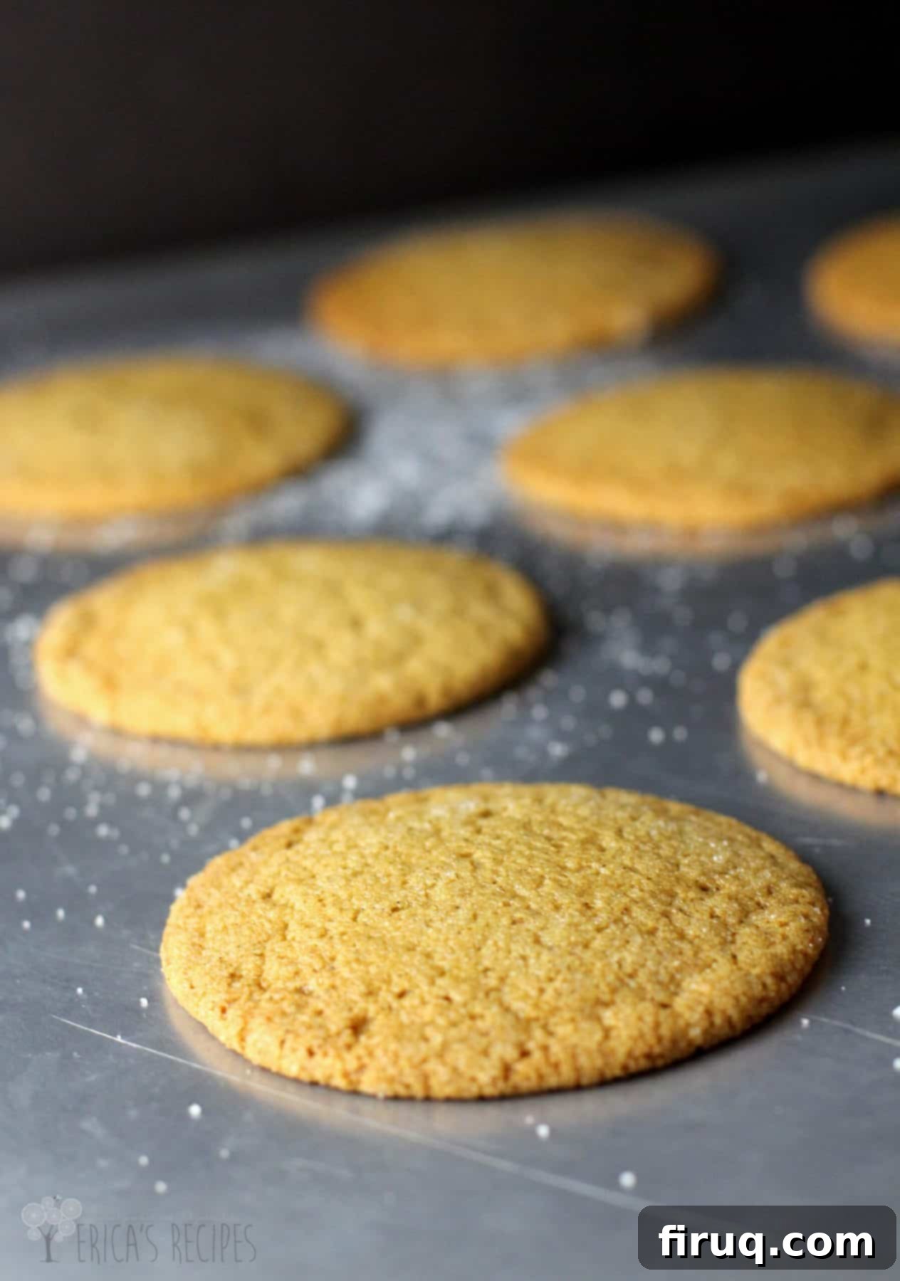 Classic Gingersnaps 2 Gingersnaps