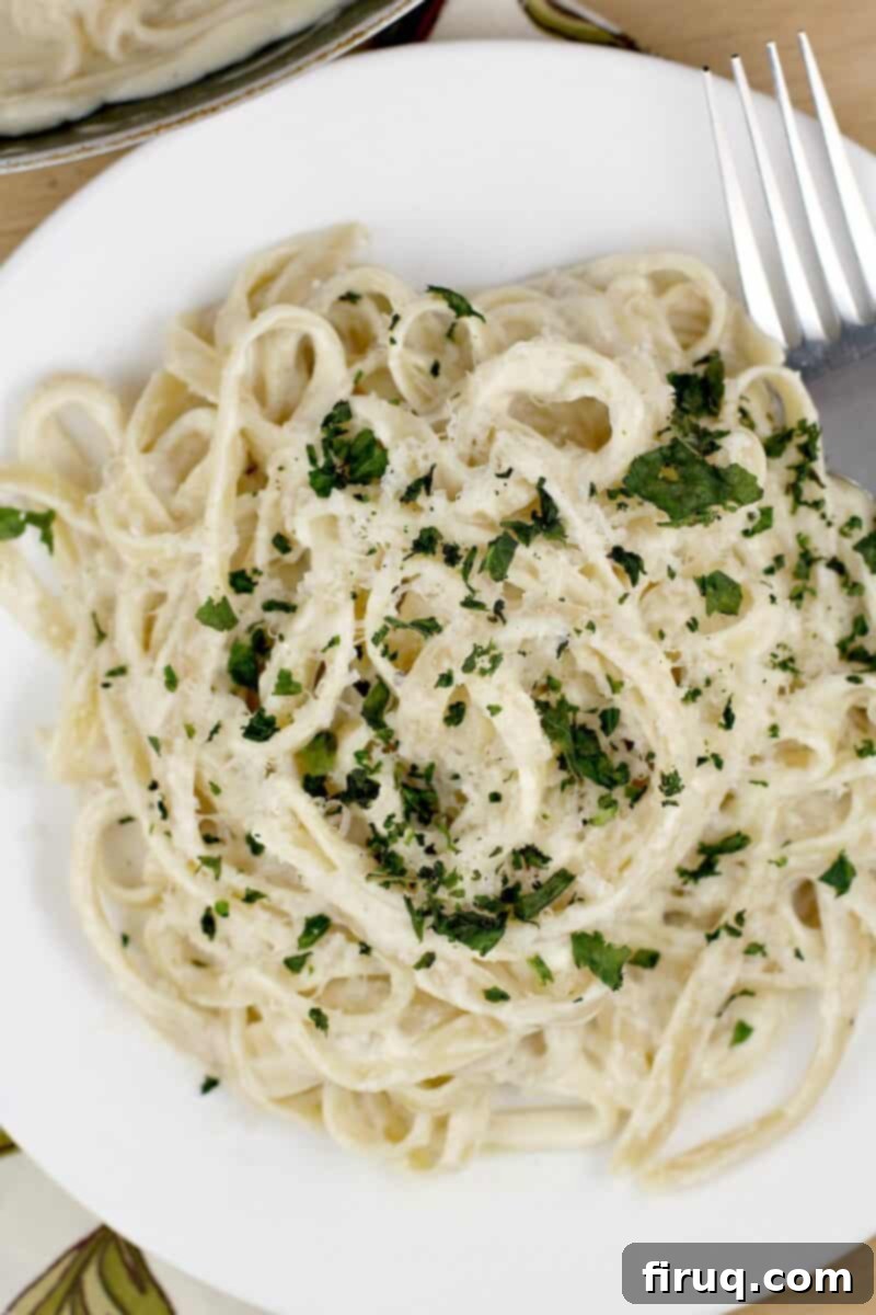 Fettuccine Alfredo 12 top down view of pasta on a white plate, topped with herbs