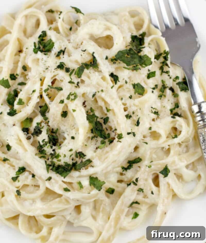 Fettuccine Alfredo 15 pasta in white sauce on a white plate with a fork