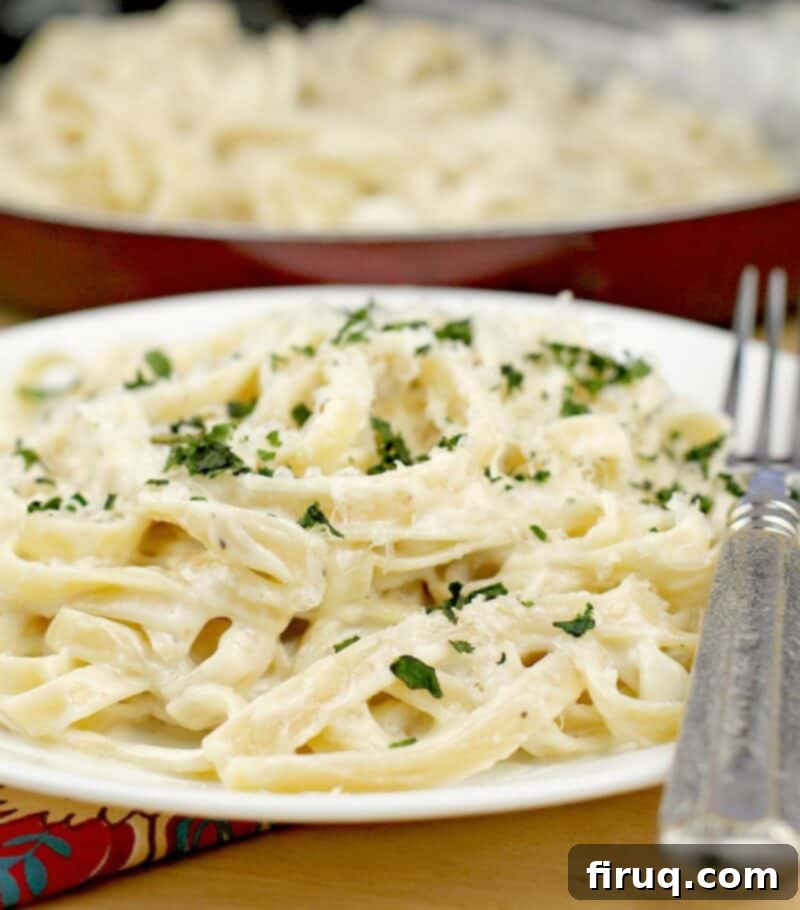 Fettuccine Alfredo 3 close view of the pasta in cream sauce on a white dish