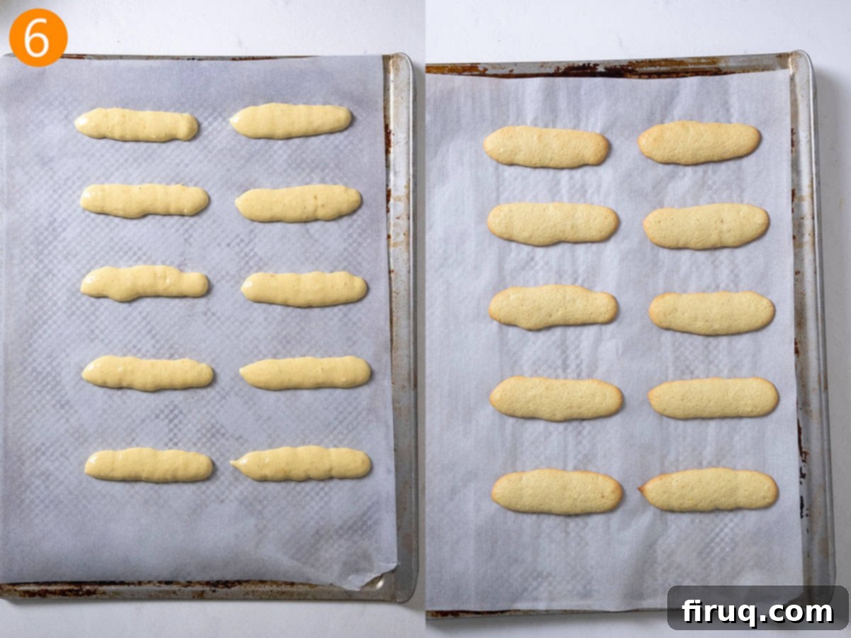 Homemade Ladyfingers for Perfect Tiramisu 9 Homemade ladyfingers baking in the oven on a parchment-lined sheet pan, showing their expansion and developing golden edges.