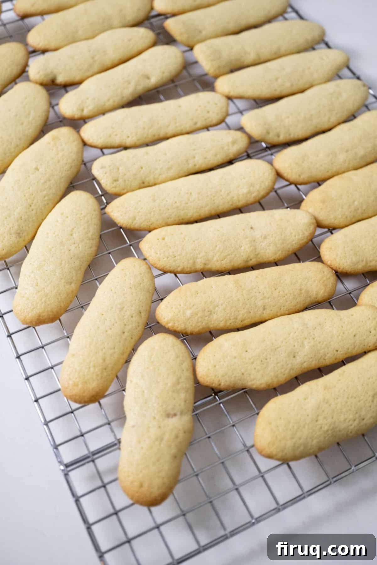 Homemade Ladyfingers for Perfect Tiramisu 10 Freshly baked homemade ladyfingers cooling on a wire rack, showing their airy texture and golden-brown edges.