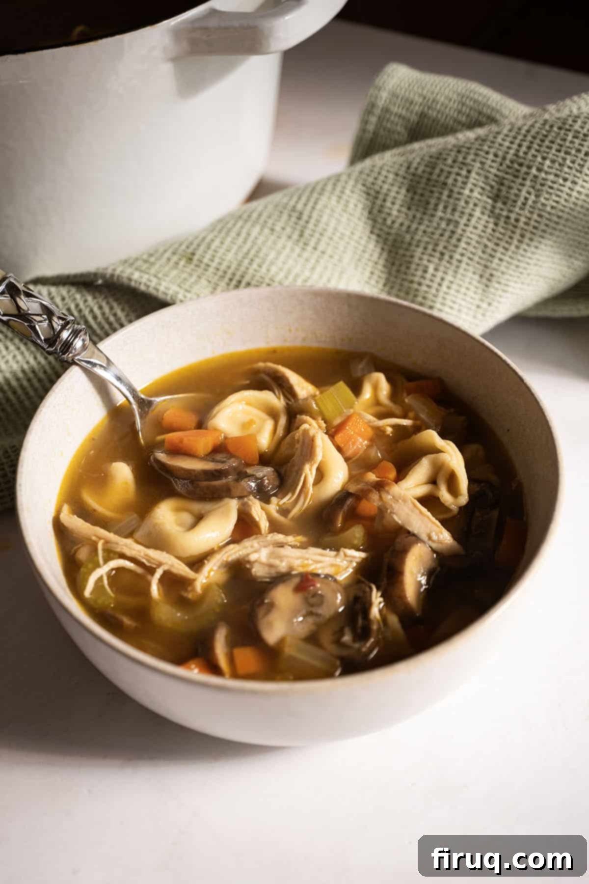 Creamy Chicken Tortellini Bliss 12 A close-up shot of a bowl of chicken tortellini soup, showing the rich broth, shredded chicken, and plump tortellini.