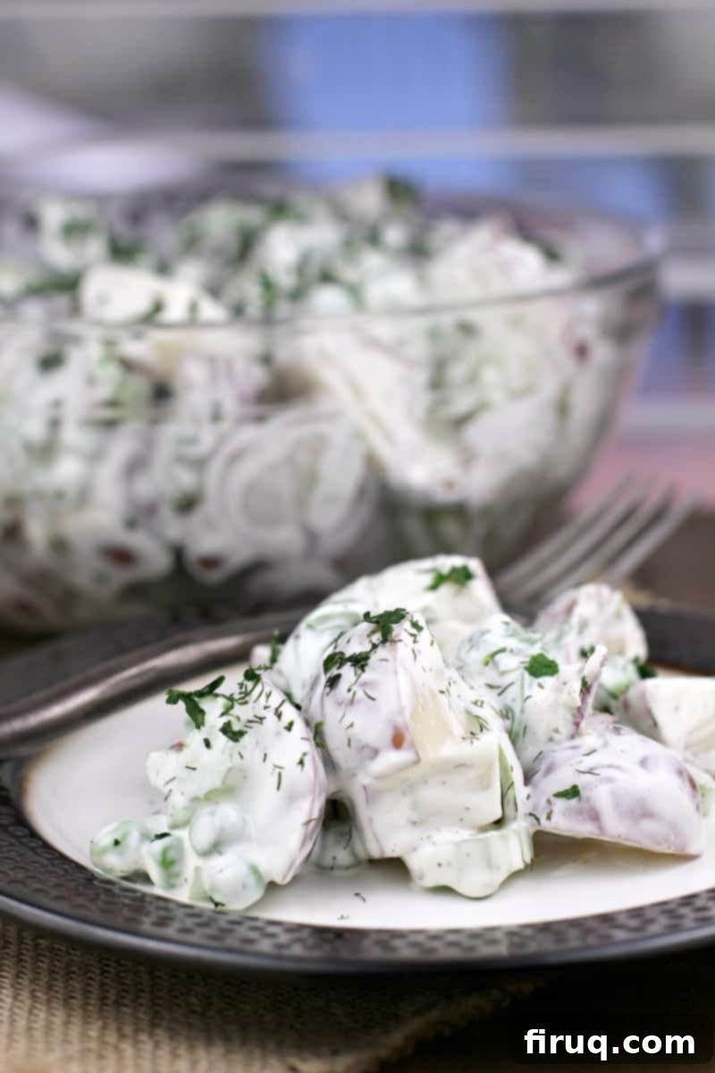 Spring Potato Salad with Zesty Dill 4 Plated spring potato salad with sour cream and dill, with a large serving bowl in the soft background.