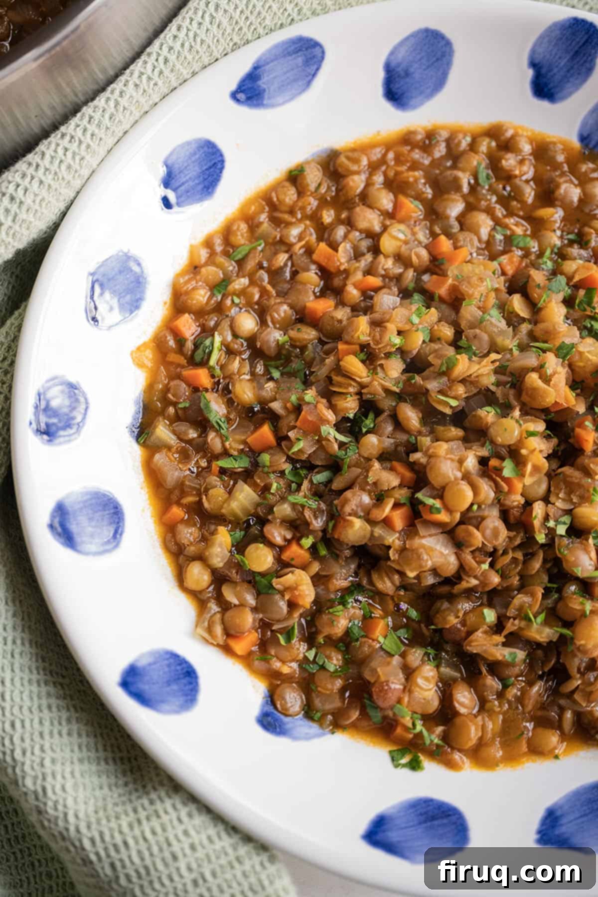 Rustic Italian Lentils 2 Cooked lentils in a bowl.