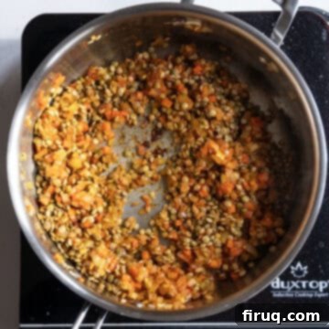 Rustic Italian Lentils 7 Dry lentils added to sauce pan and combined.