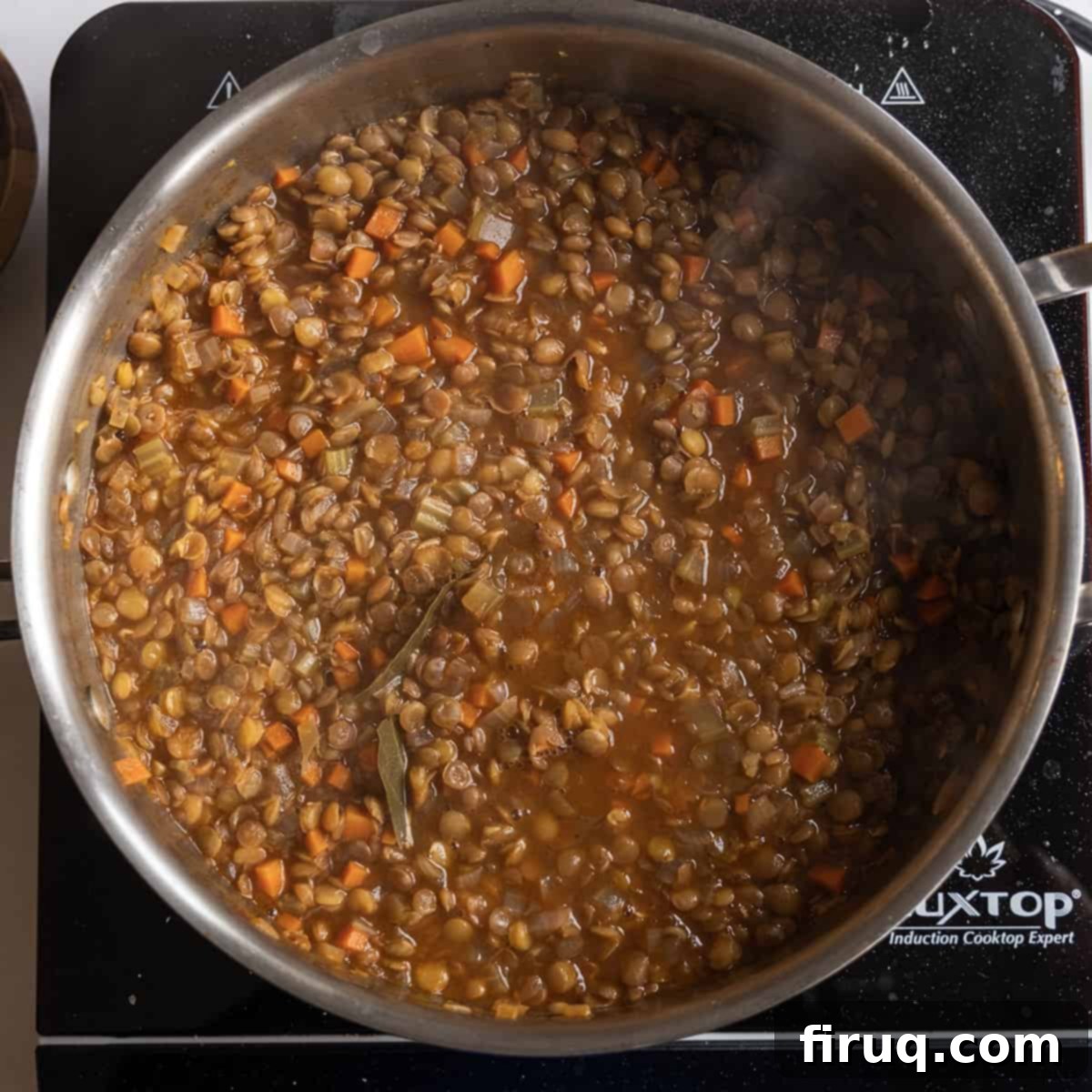 Rustic Italian Lentils 10 Lentils simmered and softened in sauce pan.