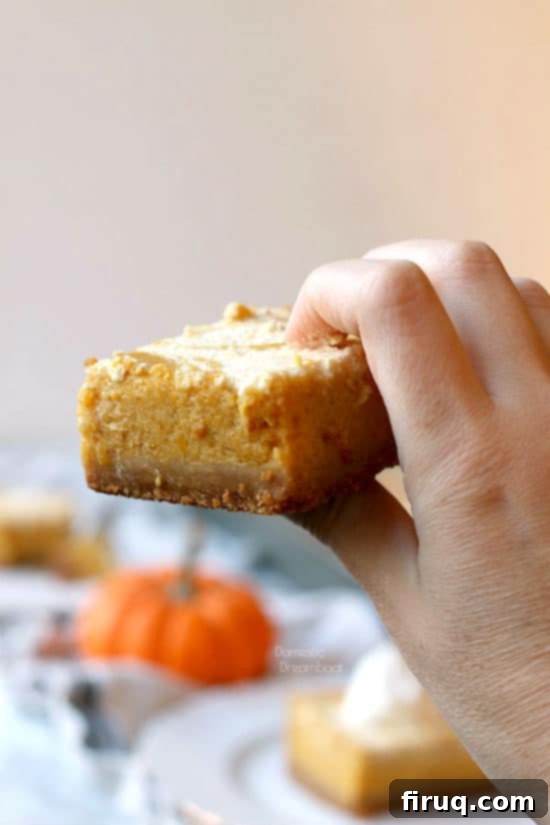 Spiced Pumpkin Cheesecake Marbled Bars 3 Pumpkin Pie Cheesecake Swirl Bars - Domestic Dreamboat #dessert #pumpkinpie #Thanksgiving