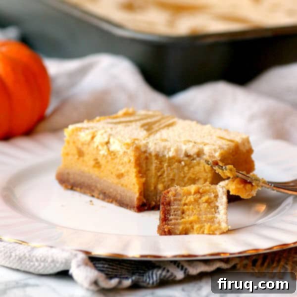 Spiced Pumpkin Cheesecake Marbled Bars 7 Pumpkin Pie Cheesecake Swirl Bars on a plate
