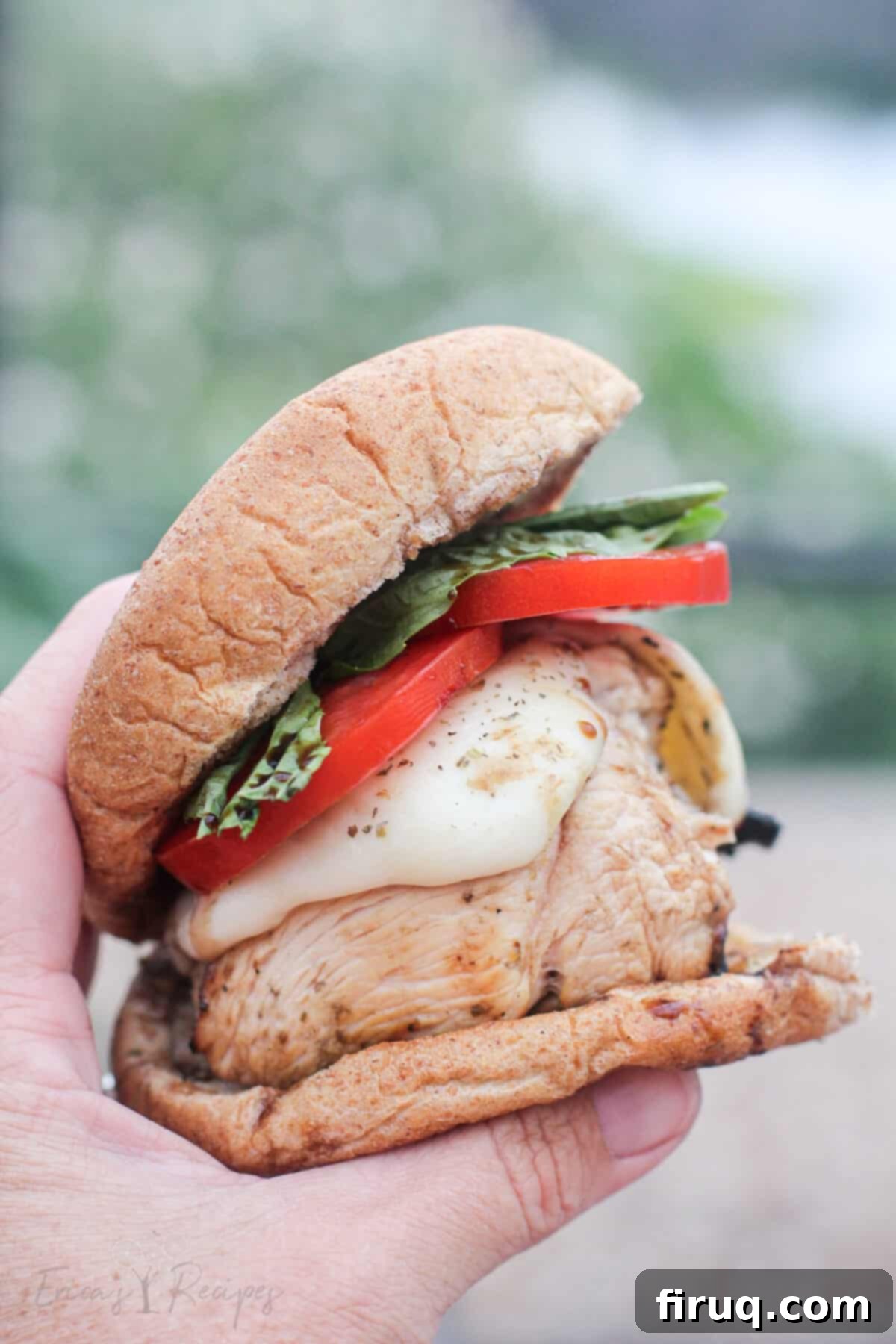 Grilled Chicken Caprese Sandwich 2 hand holding a grilled chicken caprese sandwich