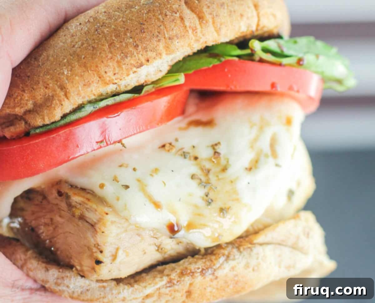 Grilled Chicken Caprese Sandwich 6 close view of chicken sandwich