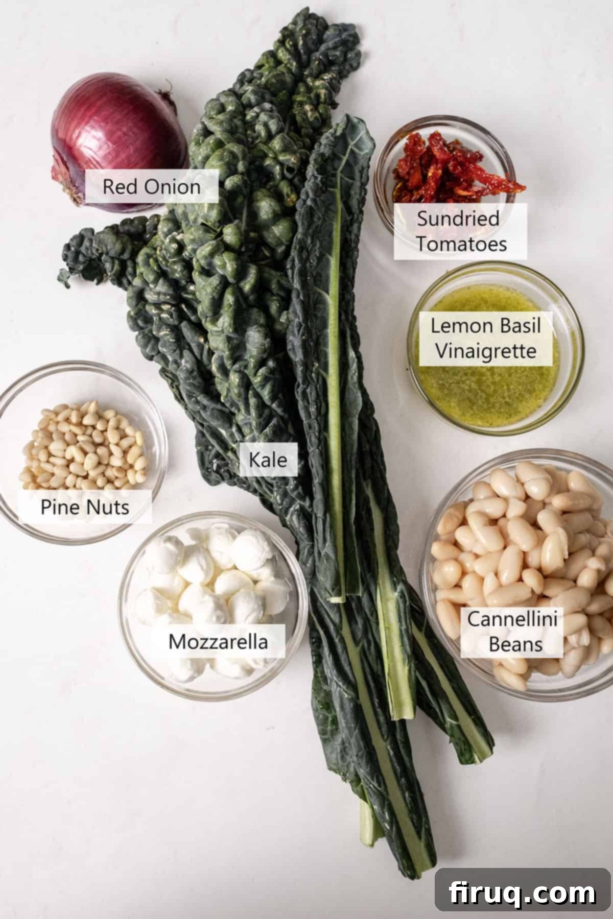 Hearty Kale and White Bean Salad 3 A flat lay of fresh ingredients for the kale and cannellini bean salad, including lacinato kale, cannellini beans, sundried tomatoes, red onion, mozzarella pearls, pine nuts, and a bottle of lemon basil vinaigrette.