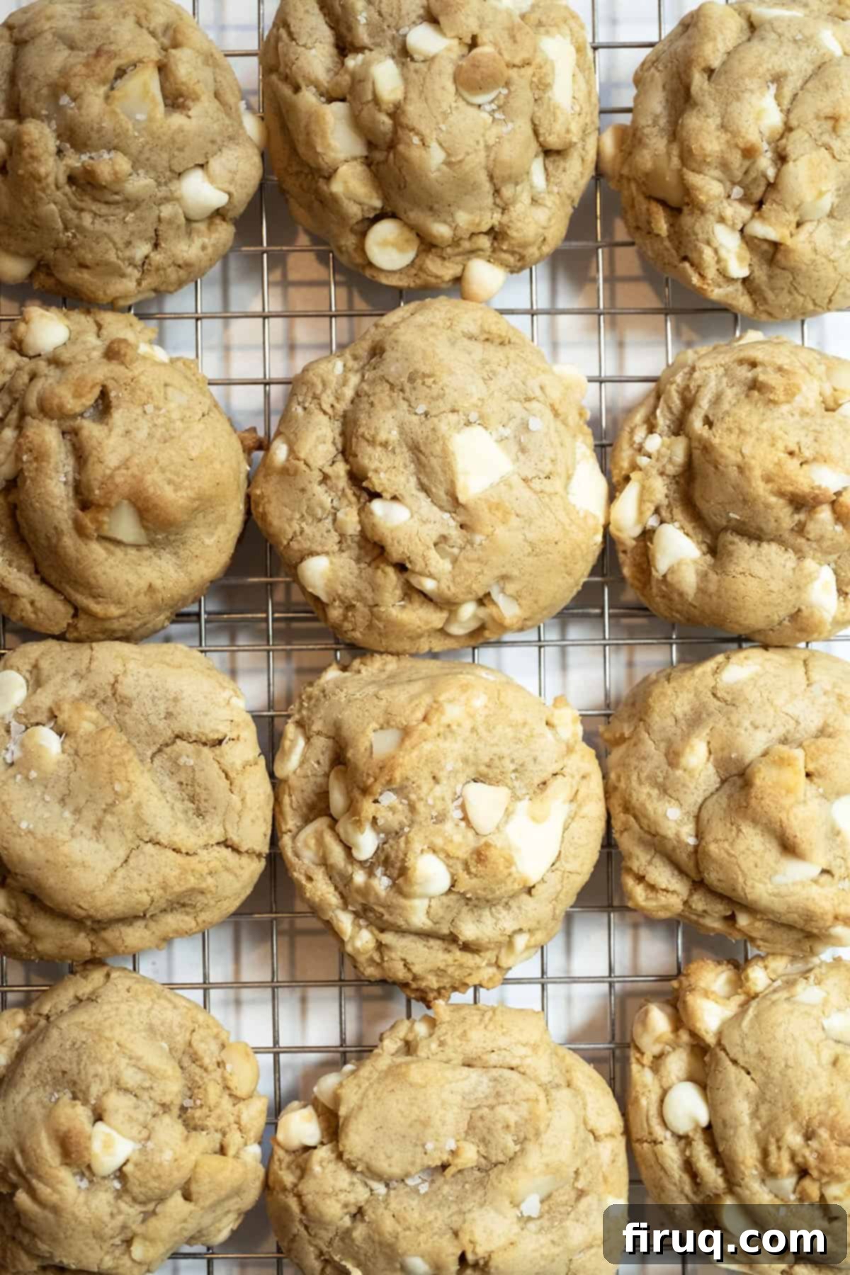 Irresistible Chewy White Chocolate Macadamia Nut Cookies 2 White chocolate macadamia nut cookies on a cooling rack.
