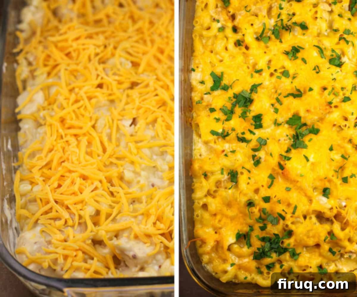 Ultimate Cheesy Chicken Macaroni Casserole 4 A collage of two images: one showing the unbaked casserole ready for the oven, topped with cheese, and the other showing the golden-brown, bubbly casserole fresh out of the oven.