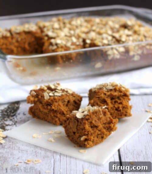 Pumpkin-Chia Protein Bars