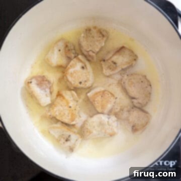 Spicy Chicken Rigatoni 6 Perfectly seared chicken pieces, golden brown and ready to be set aside.