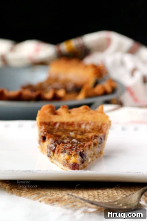 Slice of Butter Tart Pie A slice of Butter Tart Pie on a plate, showing the thick, gooey filling with raisins.
