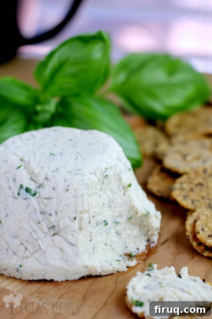 Boursin Style Herbed Cashew Cheese 1 featured 13255