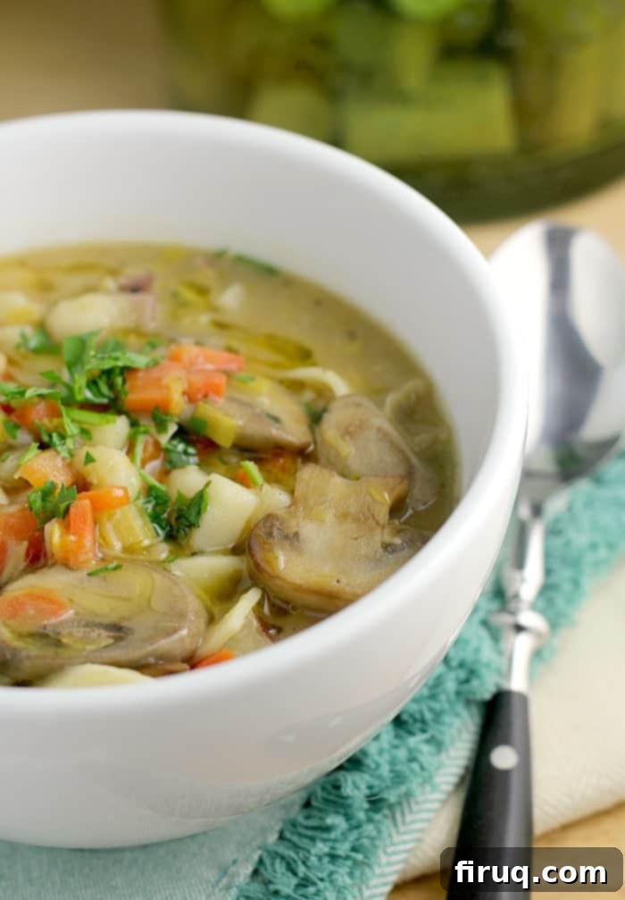 Hearty Potato Leek Noodle Comfort 1 featured 13607