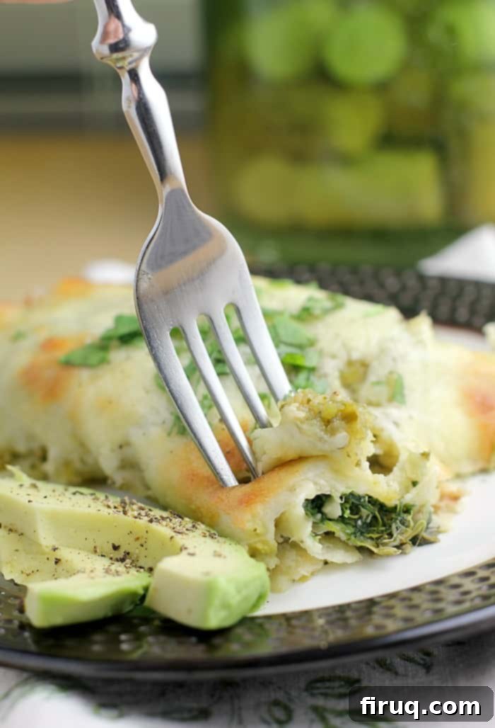 Creamy Spinach and Feta Enchiladas 1 featured 13659