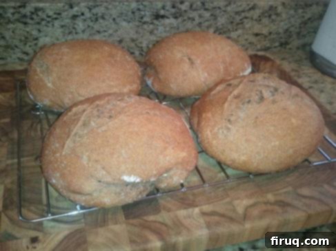 Craft Your Own 100% Whole Wheat Crusty No-Knead Artisan Bread 1 featured 518