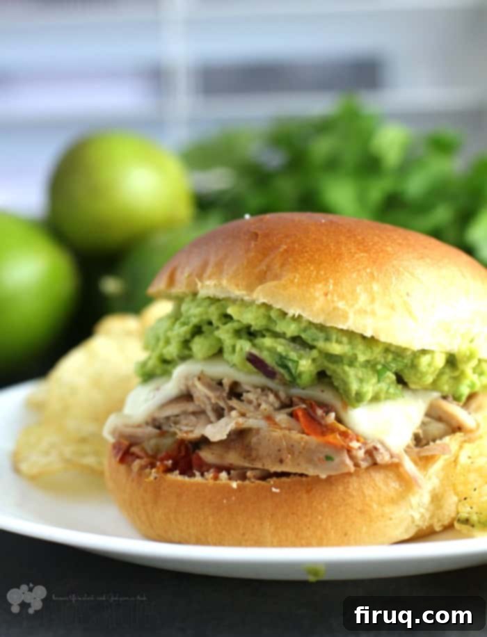 Spiced Mexican Shredded Chicken 2 Mexican Pulled Chicken - A mouthwatering slow cooker recipe perfect for parties.