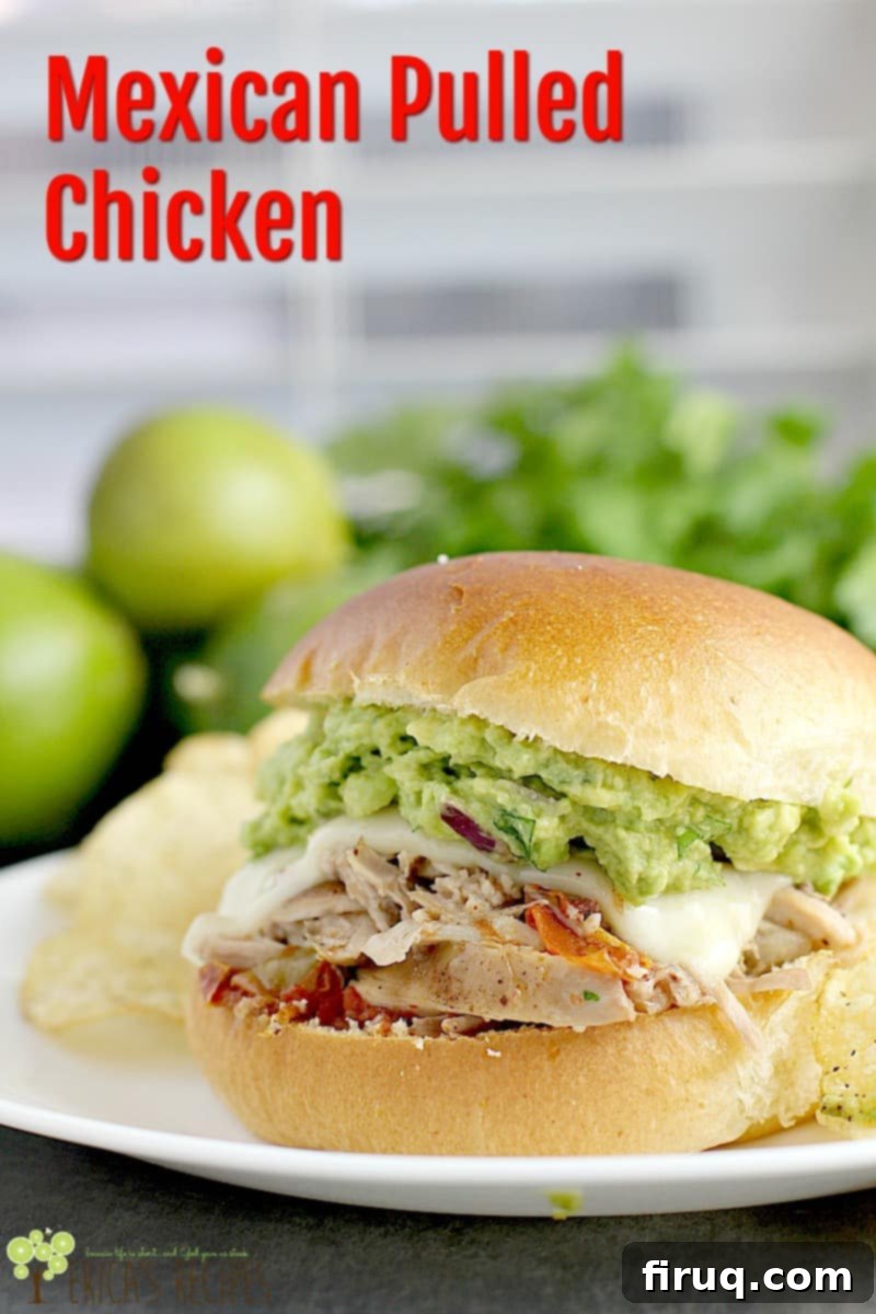 Spiced Mexican Shredded Chicken 8 Mexican Pulled Chicken #recipe #slowcooker #easyrecipe #chicken #food for social media sharing