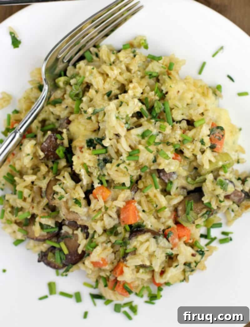 Comforting Veggie Rice Bake 14 top down view of a white plate with a serving of casserole