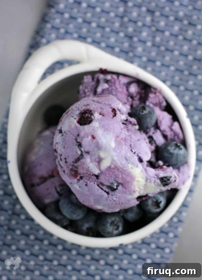 My Father's Oxen, A Blueberry Maple Treat 3 Blueberry-Maple Ice Cream from EricasRecipes.com