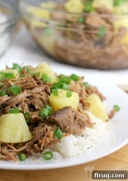 Luau-Ready Pineapple Pulled Pork & Coconut Rice 6 Pineapple Pulled Pork and Coconut Rice plated beautifully, ready for a family dinner