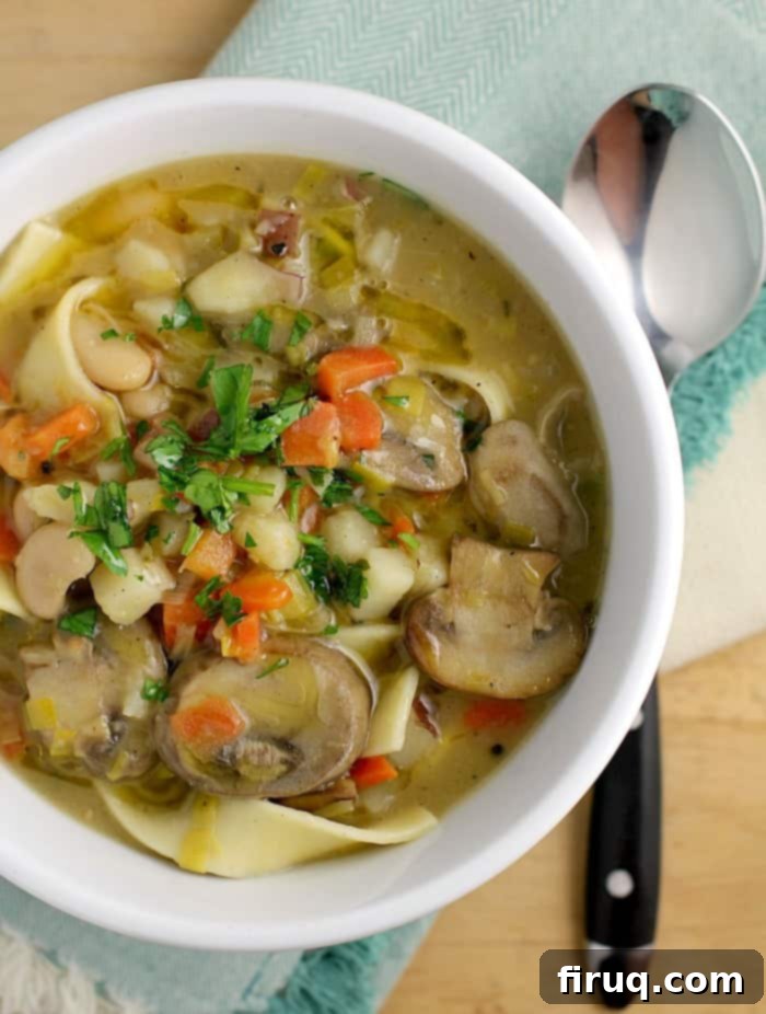 Hearty Potato Leek Noodle Comfort 2 Delicious Vegan Potato Leek Noodle Soup