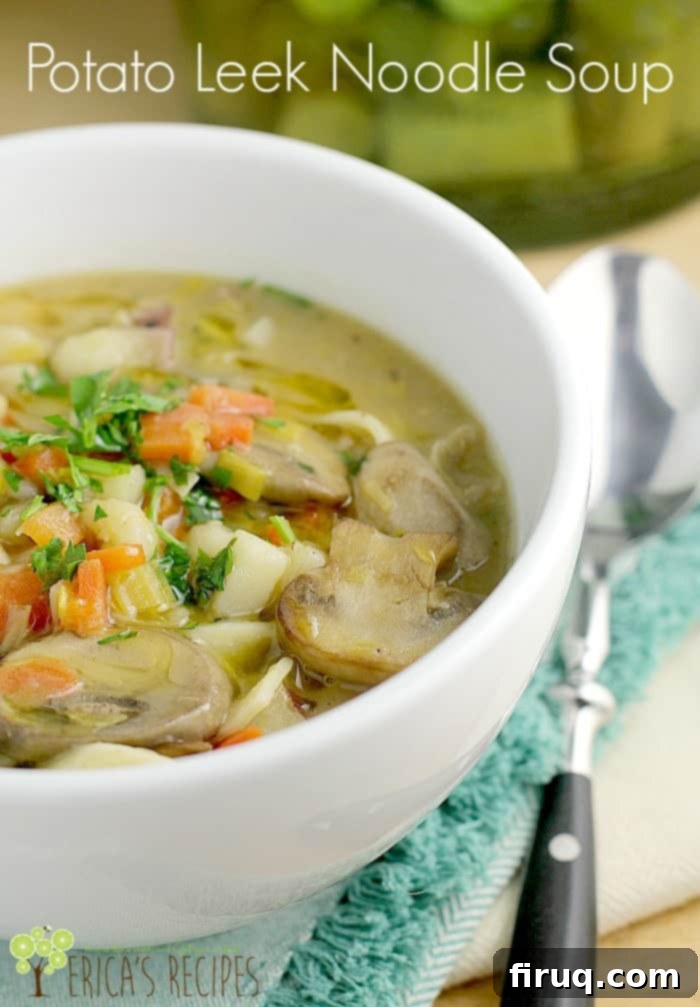Hearty and heartful, Potato Leek Noodle Soup is just the fix for whatever ails you. This simple, vegan soup is filling and sure to satisfy all. #vegan #vegansoup #veganrecipe #potatoleek Full bowl of Vegan Potato Leek Noodle Soup garnished with fresh parsley