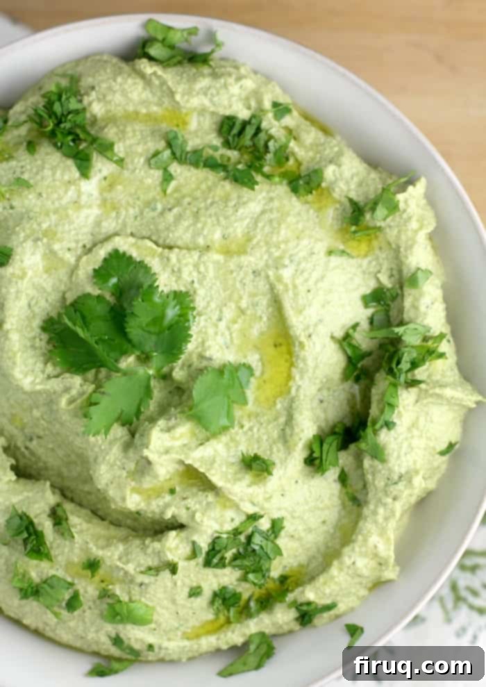 Smoky Plant-Based Poblano Avocado Dip 2 Poblano Avocado Dip (DF, Vegan) - Healthy & Flavorful