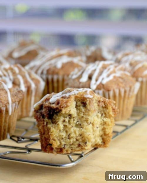 Luscious Dairy-Free Caramel Pecan Coffee Cake Muffins 6 An appetizing close-up of a Caramel Pecan Coffee Cake Muffin, showing its streusel topping and glaze
